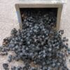 Kist met ca 600 stuks .50 schakels - Afbeelding 2