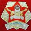 Hongaars groot porseleinen erengeschenk, grenstroepen - Afbeelding 2