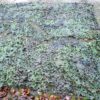 NATO camouflagenet 3,3 x 6,8 meter - Afbeelding 2