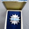 DDR DFD pin, (Demokratischer Frauenbund) Zilver