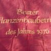 DDR SED Ehrenbanner / vaandel - Afbeelding 5