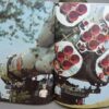 DDR boek kosmonaut Sigmund Jahn - Afbeelding 5