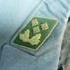 Jasje Bundes Zoll Verwaltung - Afbeelding 3