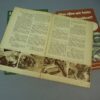 Duits WW2 Lotje Van 3 Kookboekjes Voor Vrouwen - Afbeelding 4