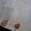 Duitse WW2 Turnerbund vlag "Gut Heil" - Afbeelding 3