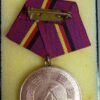 Verdienstmedaille Zivil Verteidigung in Brons - Afbeelding 2
