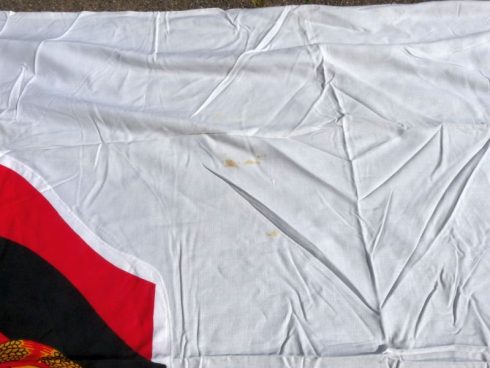DDR vlag fur Deutsch Sowjetische Freundschaft - Afbeelding 4