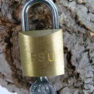 KL PSU slotje, nieuw