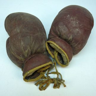 DDR Bokshandschoenen