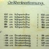 DDR NVA Grenztruppen uniform jas – oud model met gestikte kraagspiegels - Afbeelding 8
