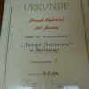 Set DDR Oorkondes / Diploma's in Lijsten - Afbeelding 5