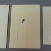 Lot van 3 originele militaire portretfoto's WOII-periode - Afbeelding 5