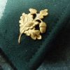 Historisch uniform Stukenbergse Boswachtersbrigade - Afbeelding 4
