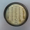 Vintage DDR Sportfest TOTO spel