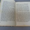 Tannenberg – oud geïllustreerd Duits boek - Afbeelding 2