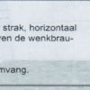 Spaanse veldpet - Afbeelding 4