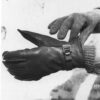 Glove Shell Leather M1949 (model 1944) - Afbeelding 3