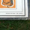 Kartonnen instructie plaat uit 1959 ,,Luftalarm beim Aufenthalt in Wohnraumen,, - Afbeelding 3