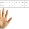 Overhandschoenen voor extreme kou - Afbeelding 4