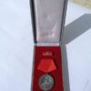 Medaille met spange 20 jaar Kampfgruppen