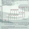 Liner / thermo jas - Afbeelding 6
