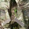 Overall, MTP Multicam camouflage - Afbeelding 4