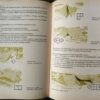 NVA Strichtarn camouflage tenthelft / poncho - Afbeelding 4