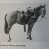 Zwitsers Cavalerie zadel met toebehoren - Afbeelding 36